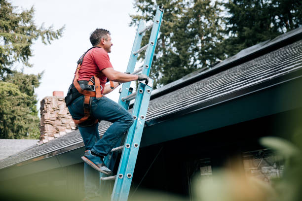 Best Skylight Installation and Repair  in Deale, MD