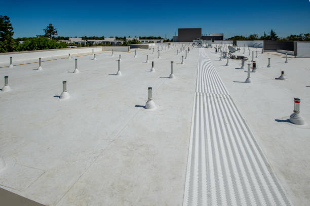 Best Roof Maintenance and Cleaning  in Deale, MD